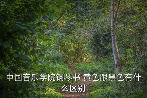 中國音樂學(xué)院鋼琴書 黃色跟黑色有什么區(qū)別