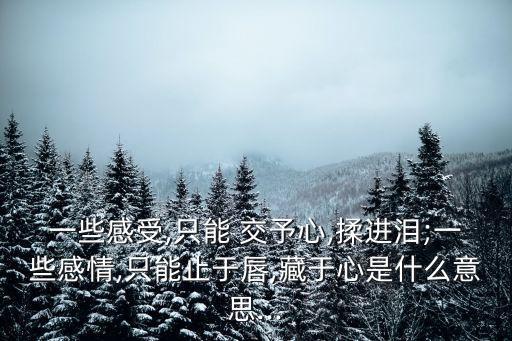 一些感受,只能 交予心,揉進(jìn)淚;一些感情,只能止于唇,藏于心是什么意思...
