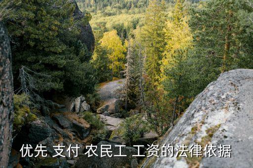 優(yōu)先 支付 農(nóng)民工 工資的法律依據(jù)