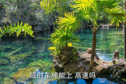 臨牌可以上高速嗎,15天的臨牌可以上高速嗎