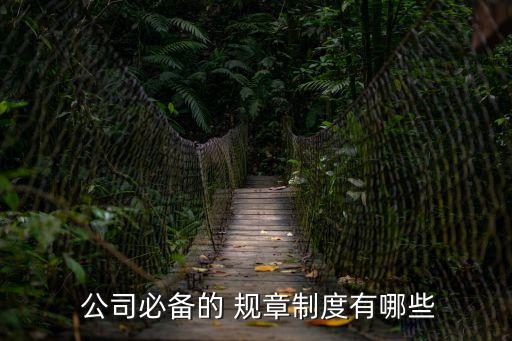  公司必備的 規(guī)章制度有哪些