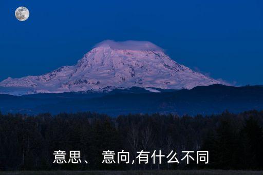 意思、 意向,有什么不同