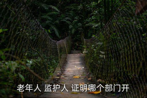 老年人 監(jiān)護(hù)人 證明哪個(gè)部門開