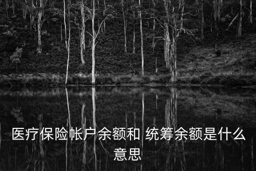 醫(yī)療保險(xiǎn)帳戶余額和 統(tǒng)籌余額是什么意思
