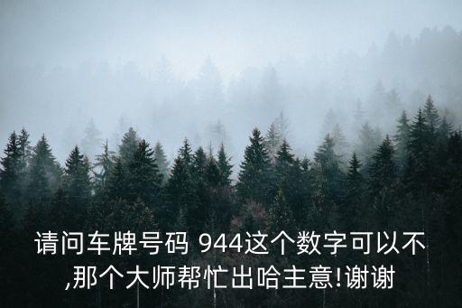 請問車牌號碼 944這個數(shù)字可以不,那個大師幫忙出哈主意!謝謝
