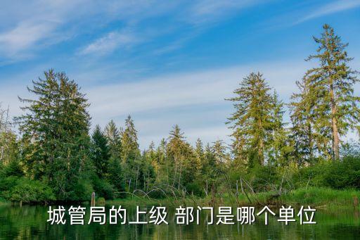  城管局的上級 部門是哪個單位