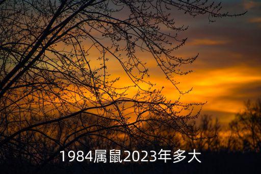 63年出生的今年多大,兔年運程2023生肖年運程