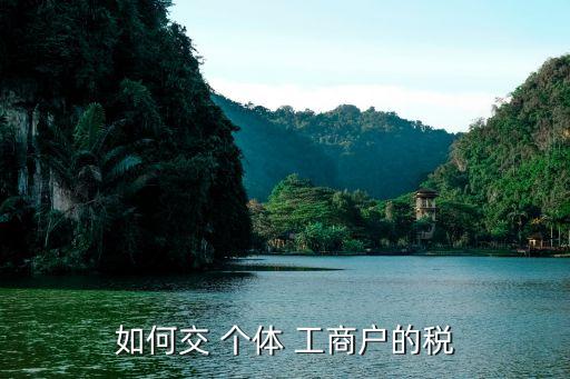 如何交 個(gè)體 工商戶的稅