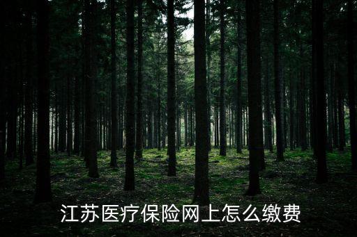 江蘇醫(yī)療保險網上怎么繳費