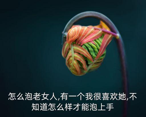 找老女人