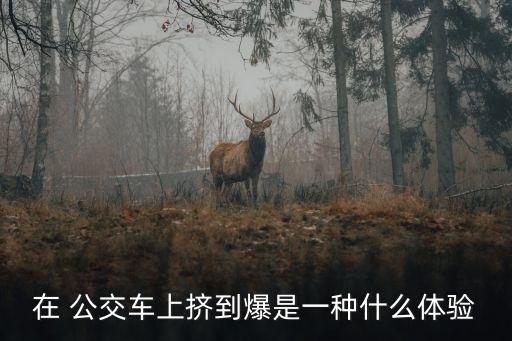在 公交車上擠到爆是一種什么體驗