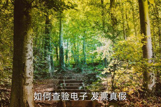 如何查驗(yàn)電子 發(fā)票真假