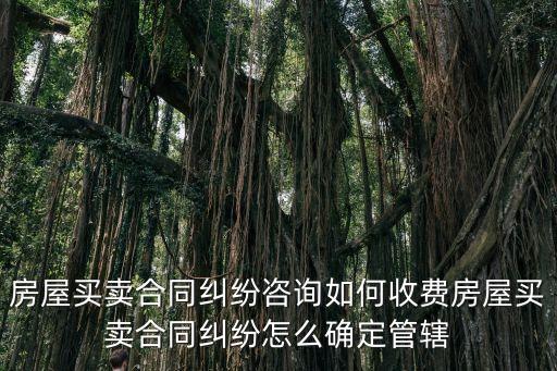 房屋買賣合同糾紛咨詢?nèi)绾问召M房屋買賣合同糾紛怎么確定管轄