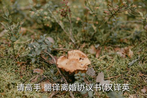 請高手 翻譯離婚協(xié)議書(漢譯英