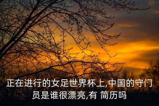 正在進行的女足世界杯上,中國的守門員是誰很漂亮,有 簡歷嗎