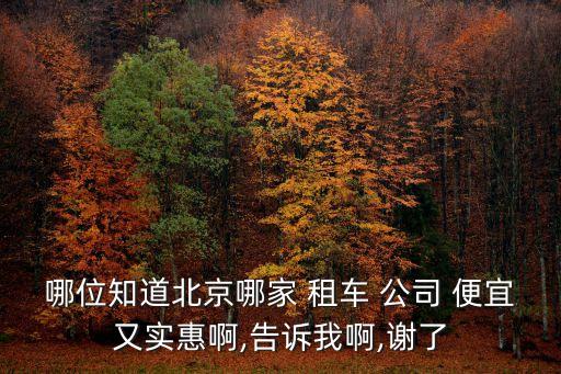 哪位知道北京哪家 租車 公司 便宜又實(shí)惠啊,告訴我啊,謝了