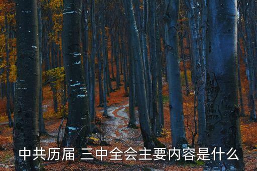中共歷屆 三中全會主要內容是什么
