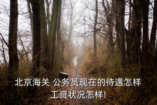  北京海關(guān) 公務(wù)員現(xiàn)在的待遇怎樣 工資狀況怎樣!