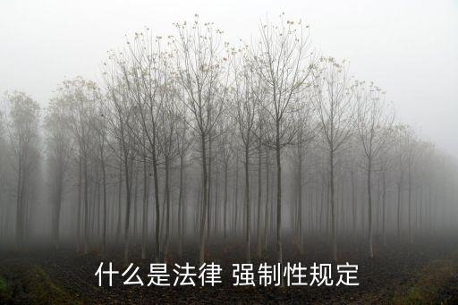 什么是法律 強(qiáng)制性規(guī)定