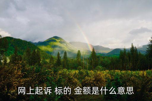 標(biāo)的金額是什么意思,立案申請信息標(biāo)的金額是什么意思