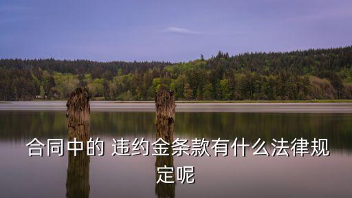  合同中的 違約金條款有什么法律規(guī)定呢