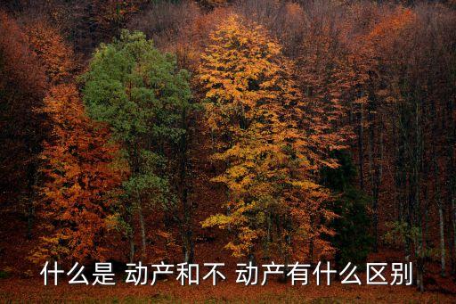 什么是 動(dòng)產(chǎn)和不 動(dòng)產(chǎn)有什么區(qū)別