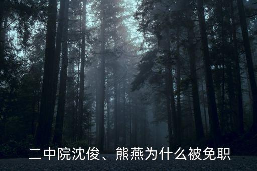  二中院沈俊、熊燕為什么被免職
