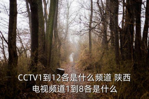 CCTV1到12各是什么頻道 陜西電視頻道1到8各是什么
