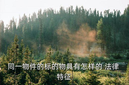 同一物件的標(biāo)的物具有怎樣的 法律 特征
