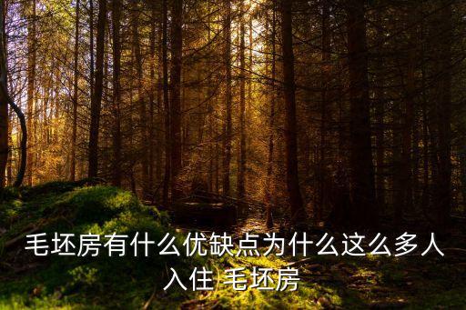 毛坯房有什么優(yōu)缺點為什么這么多人入住 毛坯房