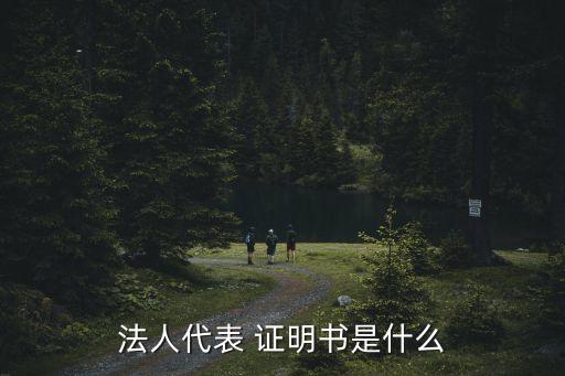 法人代表 證明書是什么