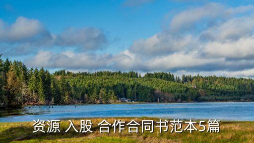 資源 入股 合作合同書范本5篇