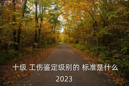  十級(jí) 工傷鑒定級(jí)別的 標(biāo)準(zhǔn)是什么2023
