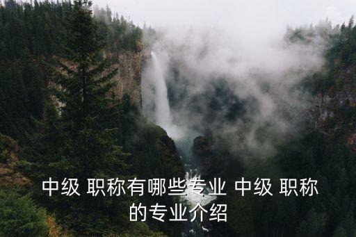  中級 職稱有哪些專業(yè) 中級 職稱的專業(yè)介紹