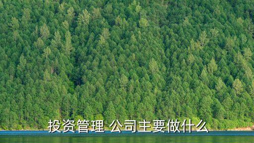 投資公司是做什么的,文旅投資公司是做什么的