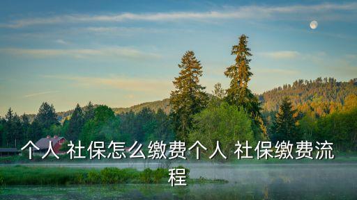 個人 社保怎么繳費個人 社保繳費流程