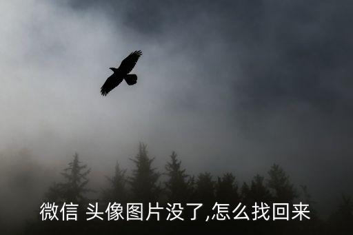 沒有圖片的頭像,微信沒有圖片的頭像