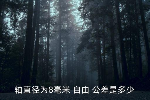 自由公差