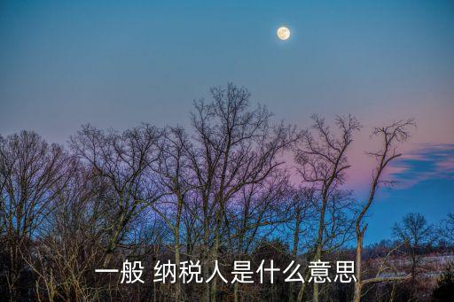一般納稅