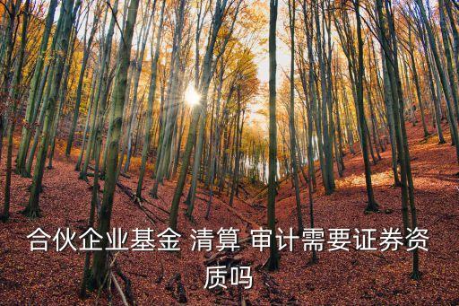清算審計(jì),破產(chǎn)清算審計(jì)