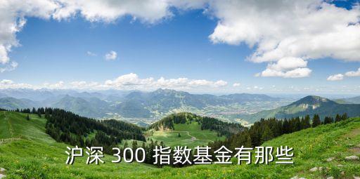 深滬300指數(shù)