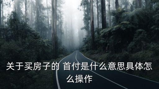 首付是什么意思,火影高招首付是什么意思