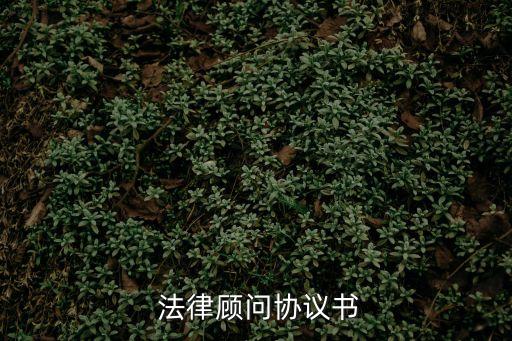 法律服務代理方案