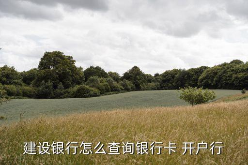 建設(shè)銀行怎么查詢銀行卡 開戶行