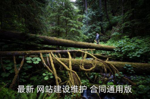 最新 網站建設維護 合同通用版