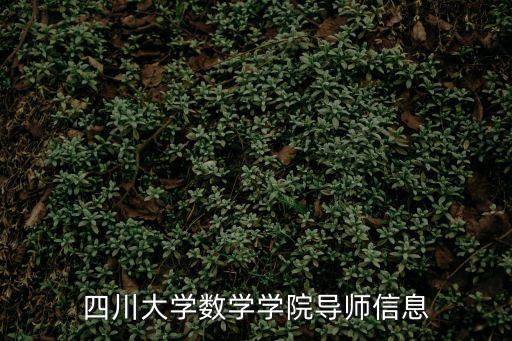 四川大學(xué)數(shù)學(xué)學(xué)院導(dǎo)師信息