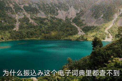 為什么振込み這個(gè)電子詞典里都查不到