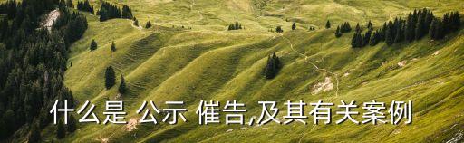 什么是 公示 催告,及其有關案例