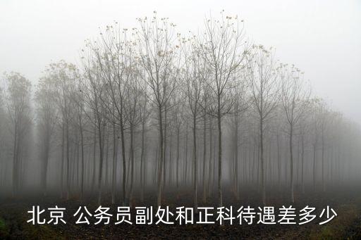 北京公務(wù)員工資,2003年北京公務(wù)員工資