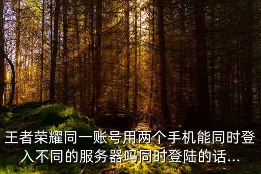 王者榮耀同一賬號用兩個手機能同時登入不同的服務器嗎同時登陸的話...